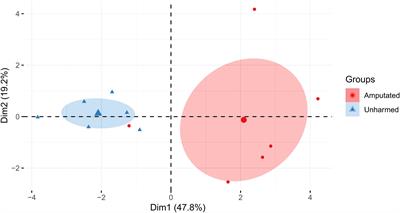 Wound healing and Cadmium detoxification in the earthworm Lumbricus terrestris – a potential case for coelomocytes?